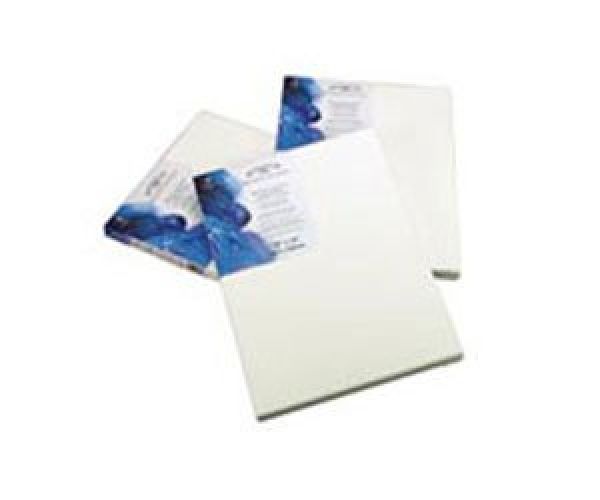 Winsor & Newton Artists Stretched Canvas - 5 Per Case