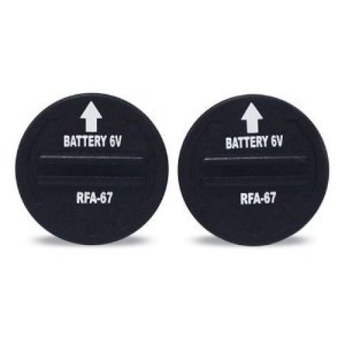 PetSafe 6-Volt Lithium Battery (2 Batteries per Pack)