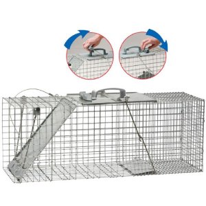 Havahart 1085 Easy Set One-Door Cage Trap for Raccoons, Stray Cats, Groundhogs, Opossums, and Armadillos