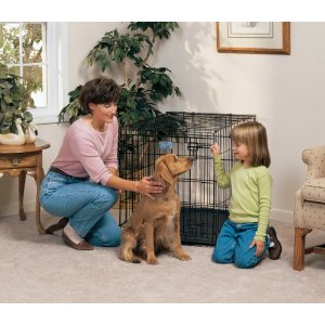 Midwest Life Stages Single-Door Folding Metal Dog Crate, 36"L x 24"W x 27"H