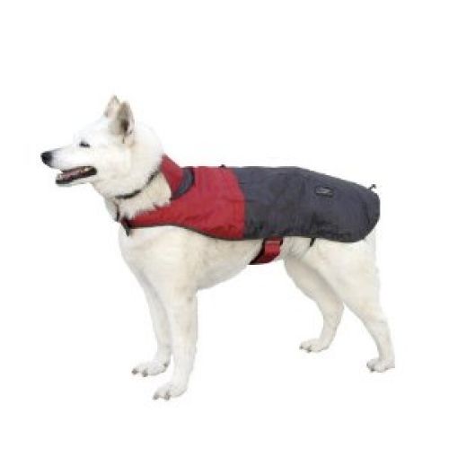 dog Rain Jacket - Medium - Assorted colors