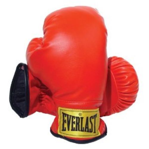 Everlast Youth Boxing Gloves (Red)
